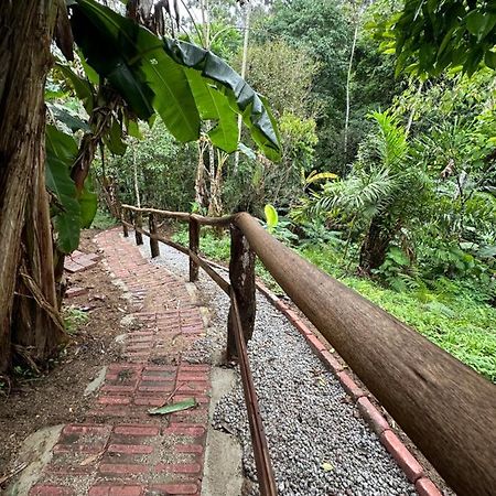 Vila Dos Passaros,Quarto 05 伊塔佩马 外观 照片
